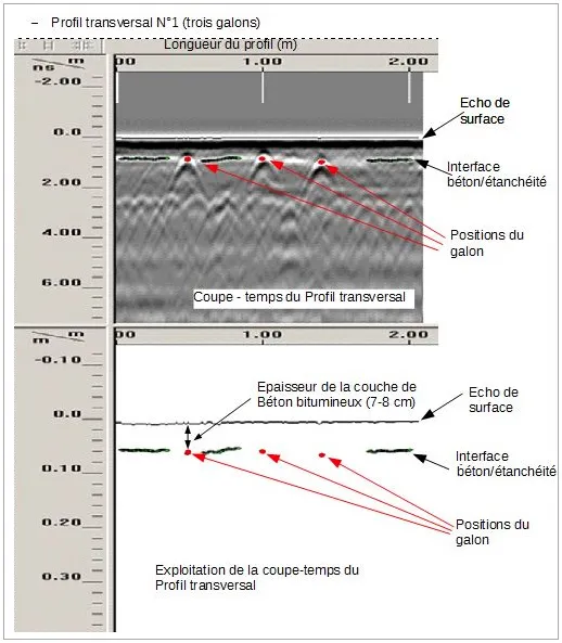 Schema Echo Detect