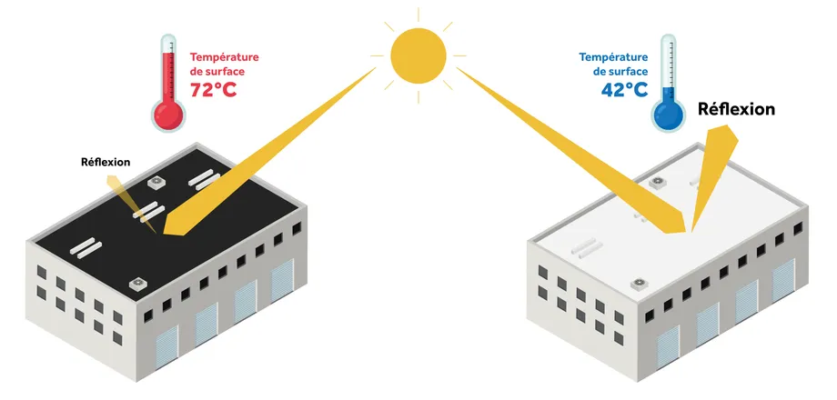 bâtiments cool roof