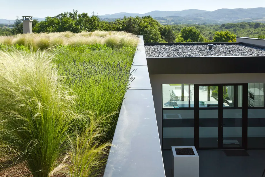 flat roof