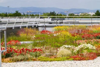 vegetalisation terrasses fleurissement amenagement