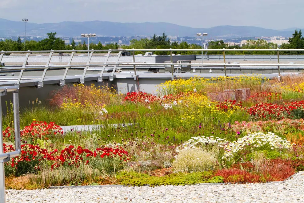 vegetalisation terrasses fleurissement amenagement